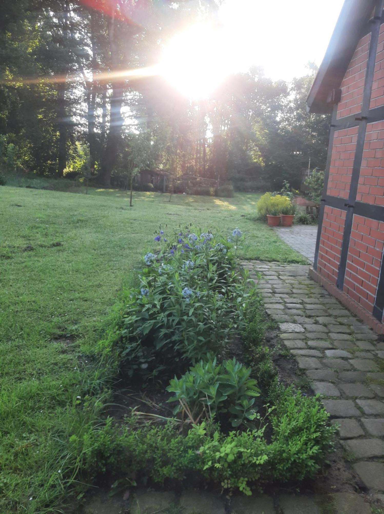 Ferienwohnung Auf Dem Land Ladbergen Exterior foto