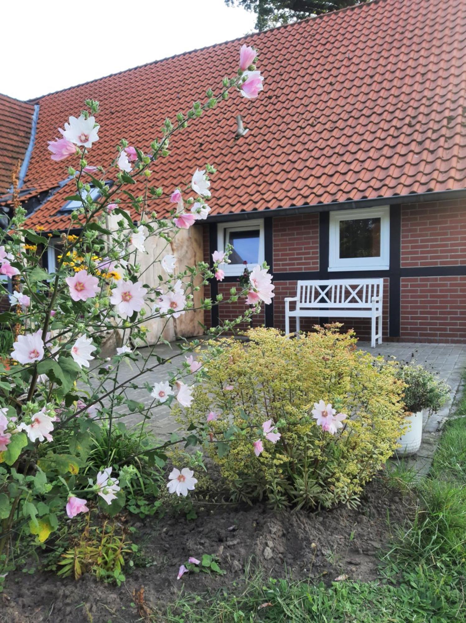 Ferienwohnung Auf Dem Land Ladbergen Exterior foto